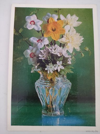 Открытка с фото Г.Костенко, 1978г.