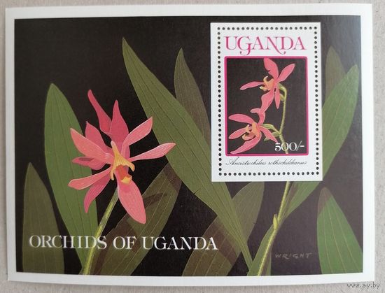 Цветы. Орхидеи.