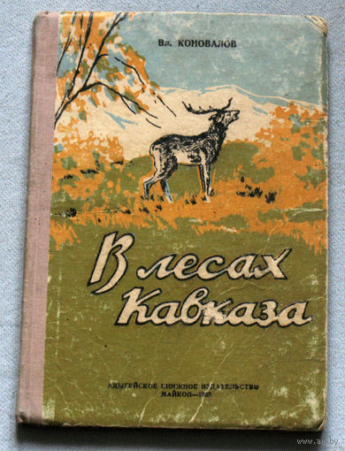 В лесах Кавказа