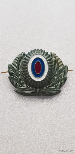 Кокарда МВД Россия*