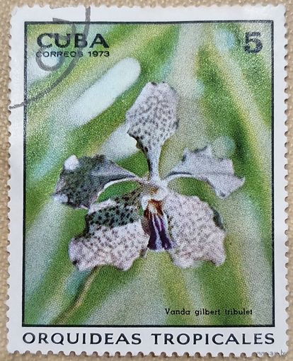 Куба 1973. Флора. Цветы. Vanda gilbert inbulet. Марка из серии