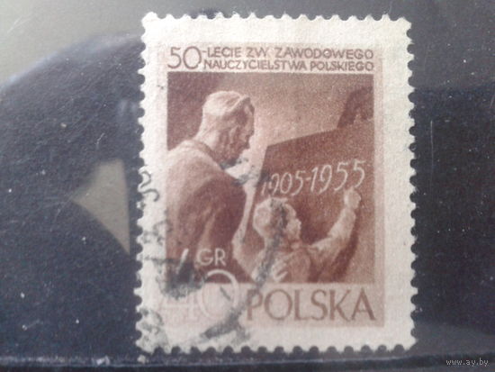 Польша 1955 Профсоюз работников просвещения