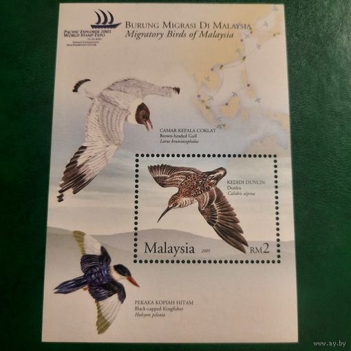 Малайзия 2005. Фауна. Птицы. Блок