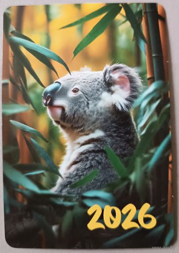 Коала. Календарик, 2026