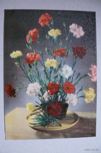 Цветы, 1966, подписана (ГДР).