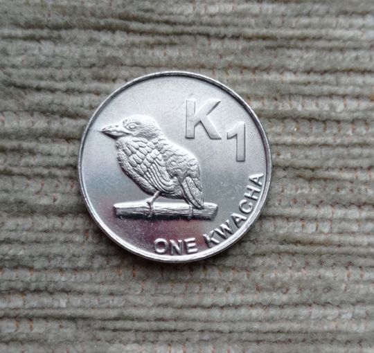 Werty71 Замбия 1 квача 2012 замбийский Бербет Птица