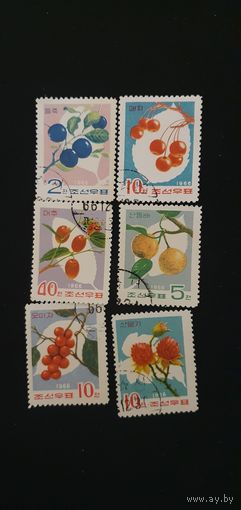 КНДР фрукты 6шт