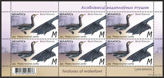 2023 БЕЛАРУСЬ  малый лист марок "Вялiкi баклан" MNH