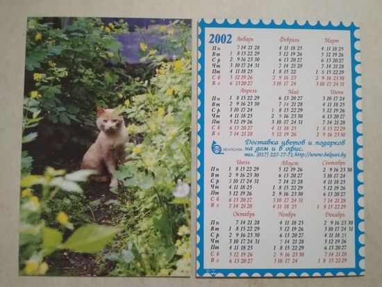 Карманный календарик . Котик. Белпочта. 2002 год