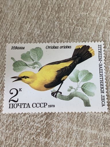 СССР 1979. Иволга. Марка из серии