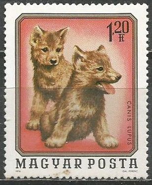 Венгрия. Лесные звери. Волчата. 1976г. Mi#3101.