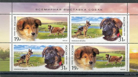 Россия 2016. Всемирная выставка собак. Верхний квартблок листа