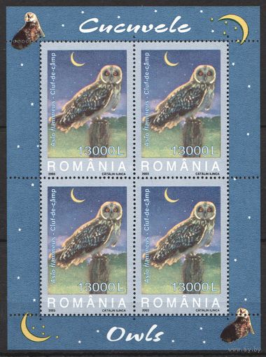 2003 Румыния Фауна Птицы Хищники Совы