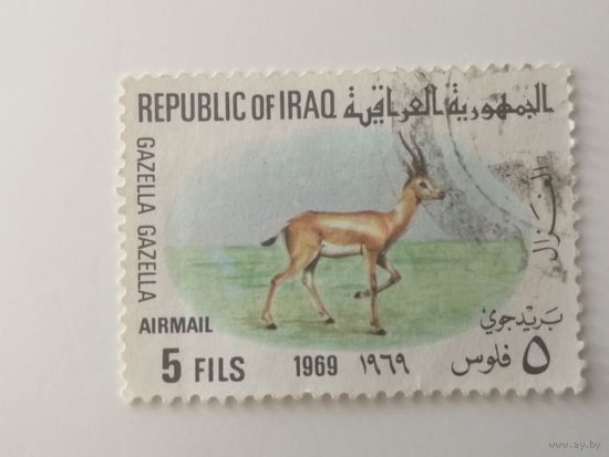 Ирак 1969. Животные