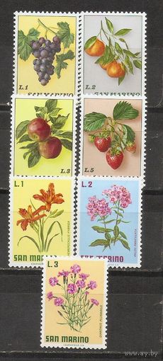 ФФ2 Сан Марино Флора