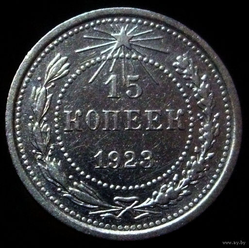 15 копеек 1923 (2)