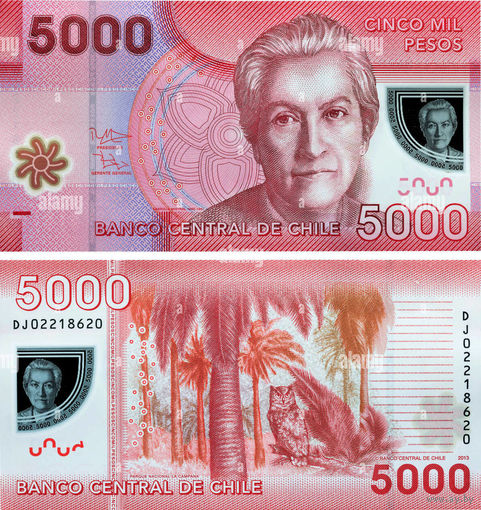 Чили 5000 песо 2014 год UNC (полимер с голограммным портретом)  Номер банкноты DA40508646