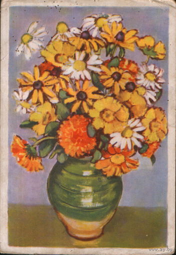 Подписанная открытка 1958г. Польша "Ноготки, ромашка, бархатцы" худ. Моника Жеромска
