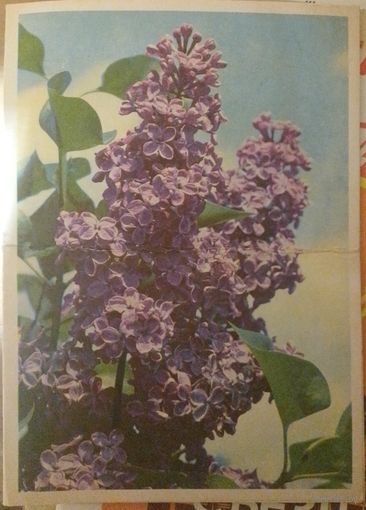 Почтовые карточки СССР