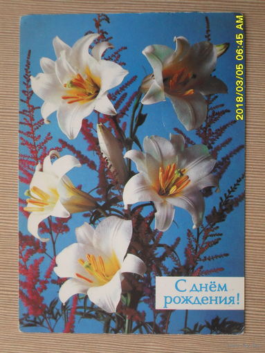 ЧИСТАЯ ПОЧТОВАЯ ОТКРЫТКА "С ДНЕМ РОЖДЕНИЯ"1988г.фото.П.КОСТЕНКО.ЛИЛИИ.ФЛО РА.ЦВЕТЫ.