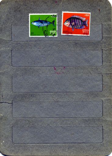ШРИ-ЛАНККА, 1972, РЫБЫ,  2м гашеная
