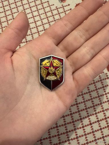 ВДПО ЗНАЧОК С РУБЛЯ