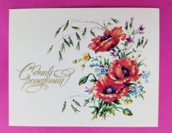 С днём рождения! Чистая. Мини. 1983 года. Гасиева.