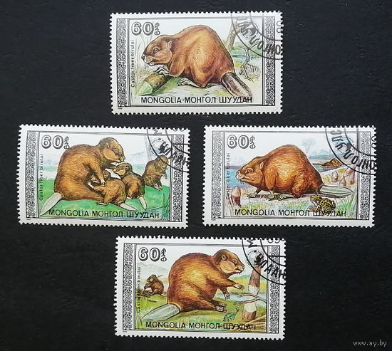 Монголия 1989 г. Бобры.  Фауна, полная серия из 4 марок #0094-Ф1P20