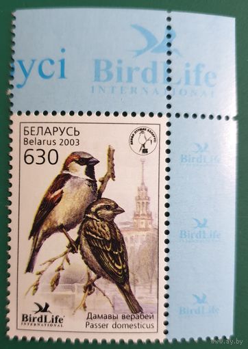 2003 Птица года в Беларуси - Домовый воробей Беларусь