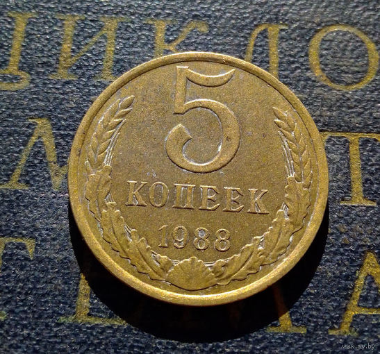 5 копеек 1988 СССР #13