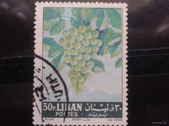 Ливан, 1962. Виноград