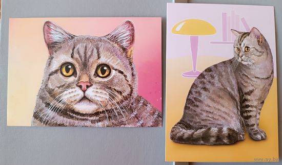 Коты. Серия "Домашние питомцы".