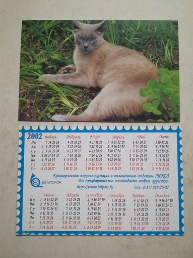 Карманный календарик . Котик. Белпочта. 2002 год
