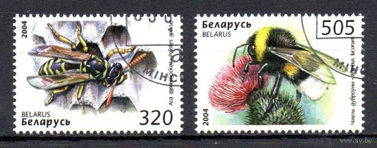 Пчелы, осы, шмели Беларусь 2004 год (573-574) серия из 2-х марок