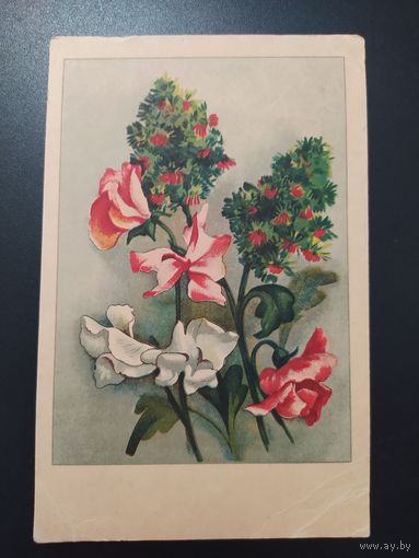 Цветы. Рига
