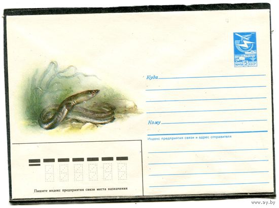 СССР 1985. ХМК. Конверт. Рыбы. Угорь  Худ. А.Исаков