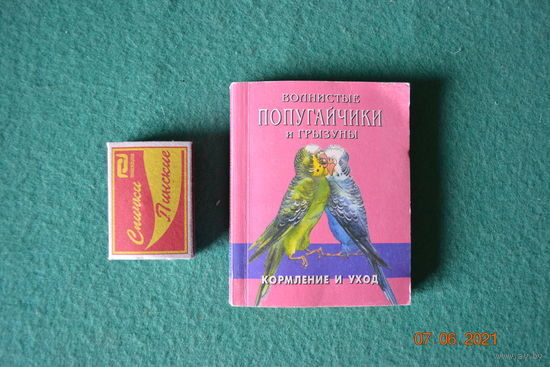 Волнистые попугайчики и грызуны миниатюра