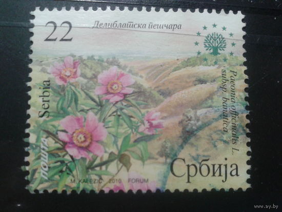 Сербия, 2010. Пион фермерский