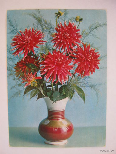 Открытка.1984 г.