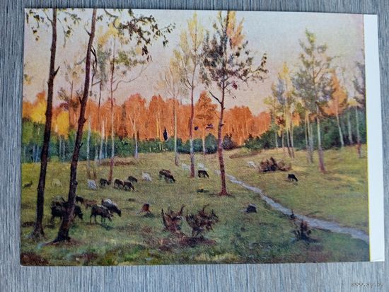 1958. Мясникова. Последние лучи