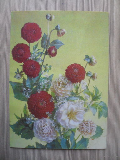 ПОДПИСАННАЯ ОТКРЫТКА. СССР. БУКЕТ. ФОТО. И. ДЕРГИЛЕВА. 1990 г.