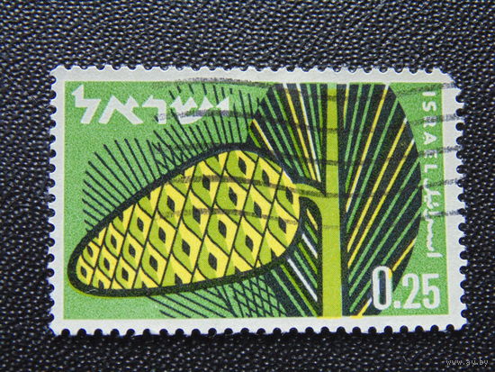 Израиль. Фрукты.