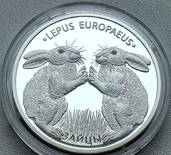 1 oz.  Зайцы 2014г.  31,1г  999пр.