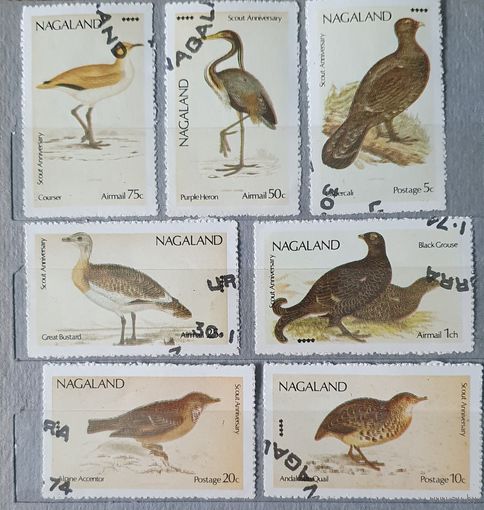 Нагаленд птицы 7шт