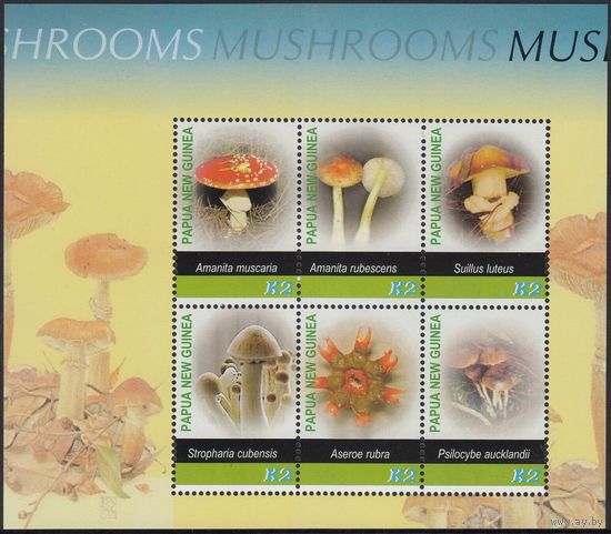 2005 Папуа-Новая Гвинея 1133-38/B33 Грибы 9,00 евро