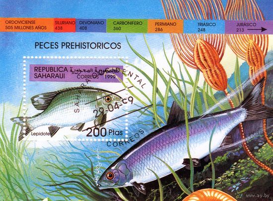Республика Сахара. Ископаемые рыбы.1999
