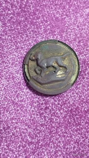 Охотничья пуговица.