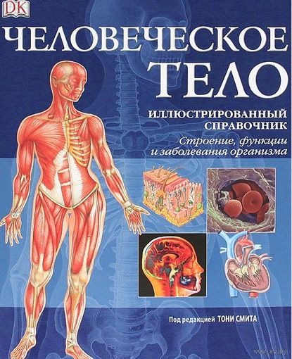 Человеческое тело. Иллюстрированный справочник. СУПЕР!!! ///
