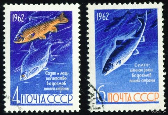 Рыбы СССР 1962 год серия из 2-х марок