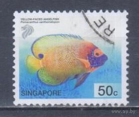 [246] Сингапур 2001. Фауна.Рыбы. Гашеная марка.